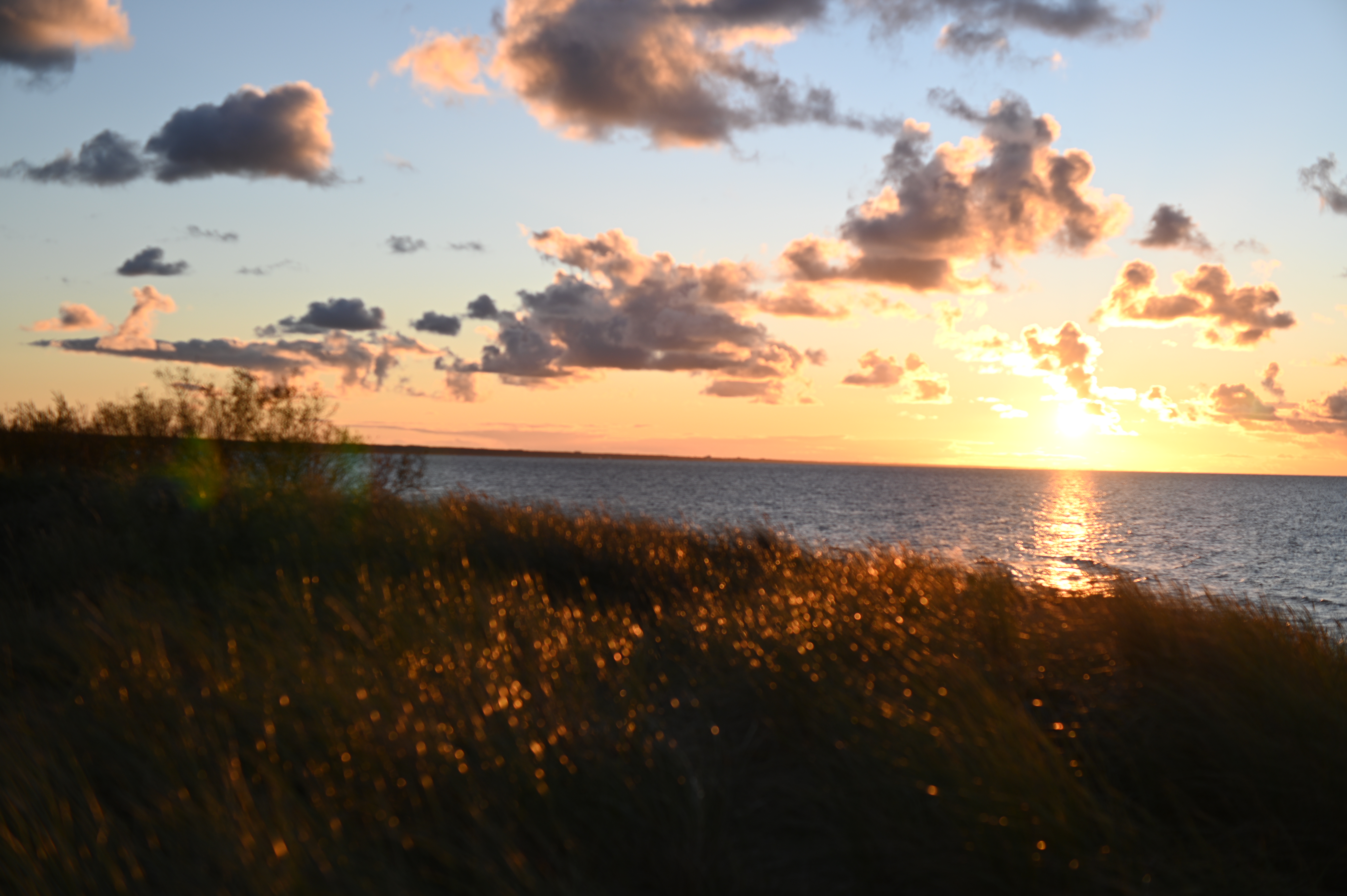 2025/10/18 - walk/DSC_0383.JPG